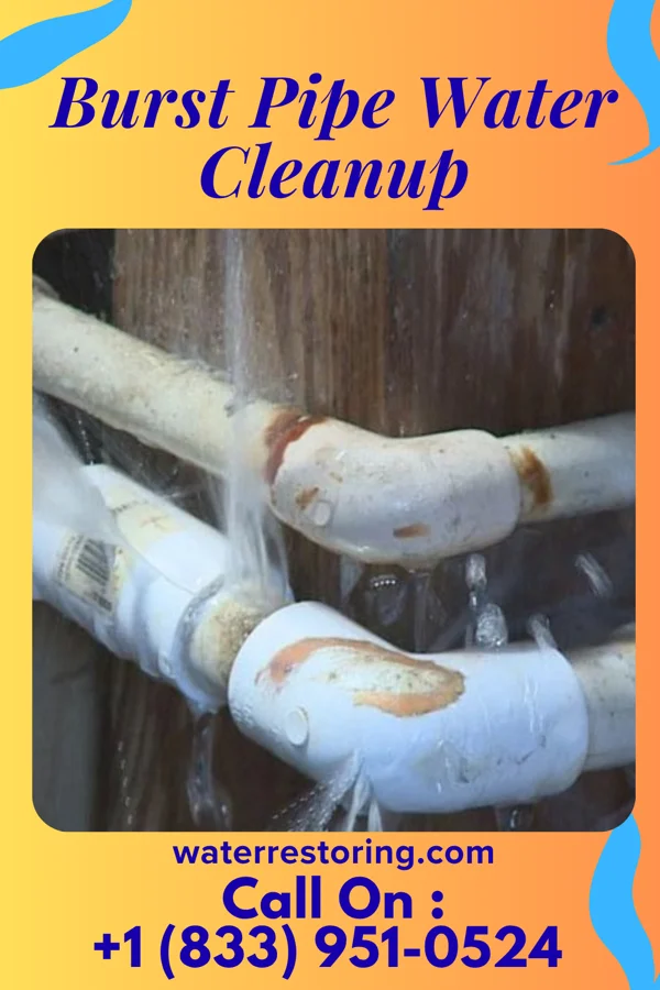 Burst Pipe Water Cleanup in Pine Grove, WA