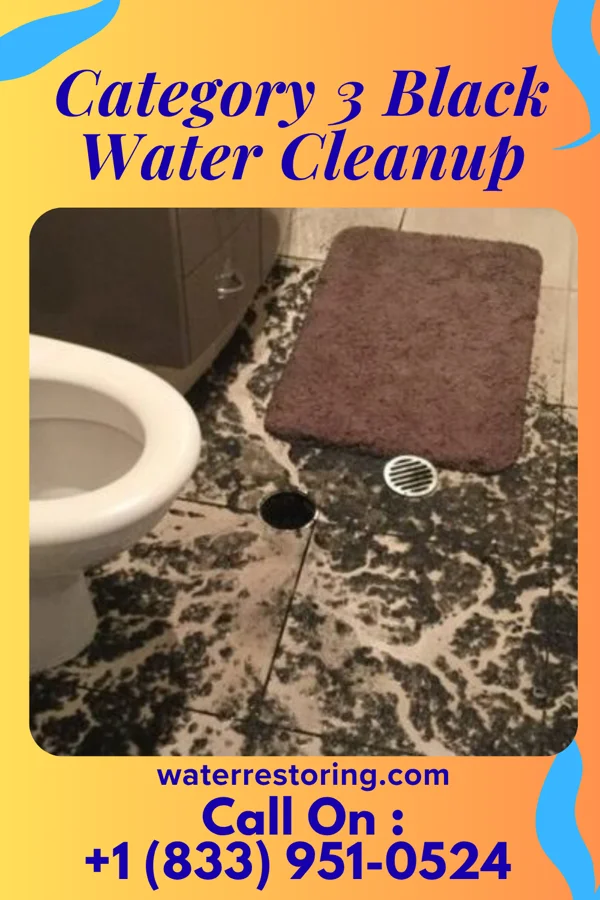Category 3 Black Water Cleanup in Pine Grove, WA