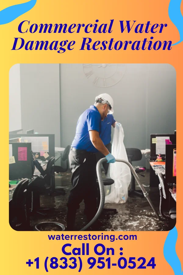 Commercial Water Damage Restoration in Pine Grove, WA