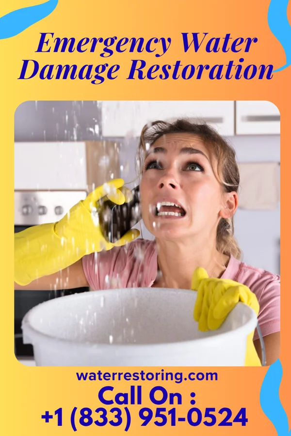 Emergency Water Damage Restoration in Pine Grove, WA