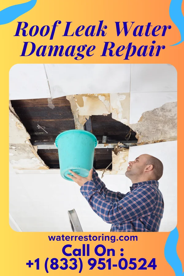 Roof Leak Water Damage Repair in Pine Grove, WA