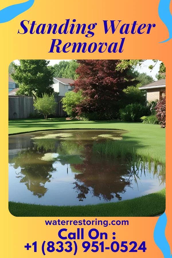 Standing Water Removal in Pine Grove, WA